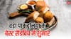 दुनिया की जुबां पर भी चढ़ा वड़ा पाव का स्वाद, बेस्ट सैंडविच में हुआ शुमार
