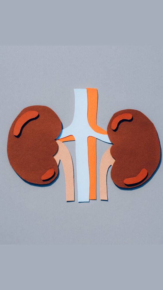 The Vital Role Of Diet And Lifestyle On Kidney Health