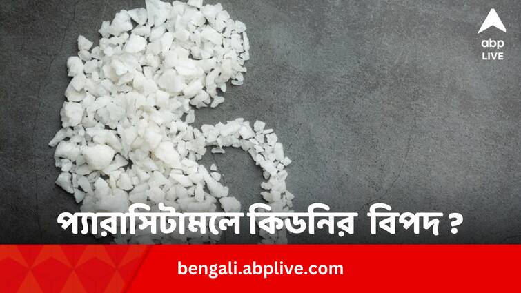 Over The Counter Drug Like Paracetamol Are Affecting Kidney Health Health Tips: প্যারাসিটামল জাতীয় ওষুধ কিডনির জন্য আদৌ ভাল না খারাপ ?