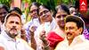 Congress manifesto : ஸ்டாலின் பாணியில் ராகுல்! பெண்களுக்கான 5 திட்டங்கள்! அதிரடி காட்டும் காங்கிரஸ்