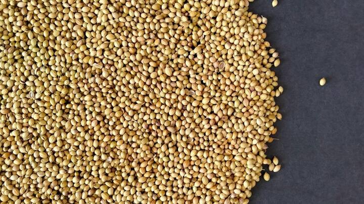 Coriander Seeds: உடல் எடையை குறைக்க கொத்தமல்லி விதையை பயன்படுத்து உதவுமா என்பது குறித்து காணலாம்.