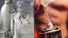 Health Tips: அதிகமாக புரோட்டீன் பவுடர் பயன்படுத்தினால் சிறுநீரகம் பாதிக்குமா? நிபுணர்களின் அறிவுரை!