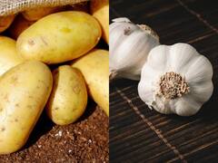 Food Refrigeration : தப்பி தவறியும் இந்த உணவுகளை பிரிட்ஜில் வைக்காதீங்க!