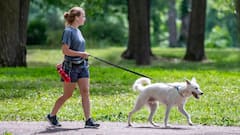 कुत्तों को पार्क में टहलाने का भी है नियम, नहीं पता तो फंस सकते हैं आप