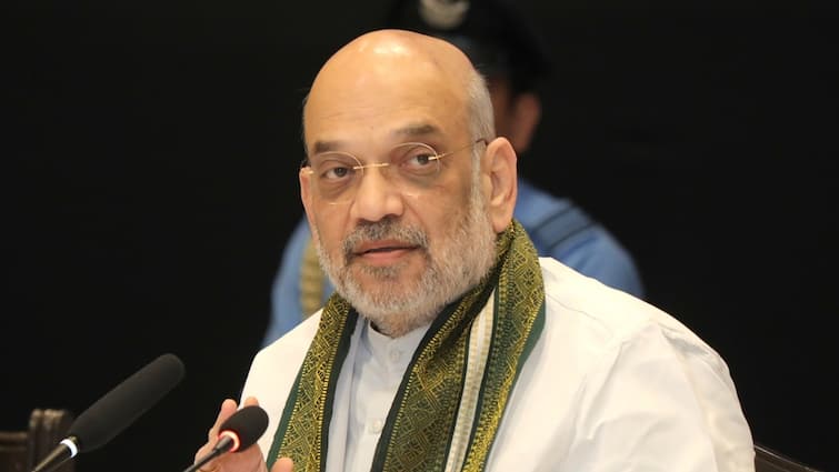 Electoral Bonds Ought to’ve Been Improved As a substitute Of Being Utterly Scrapped: Amit Shah