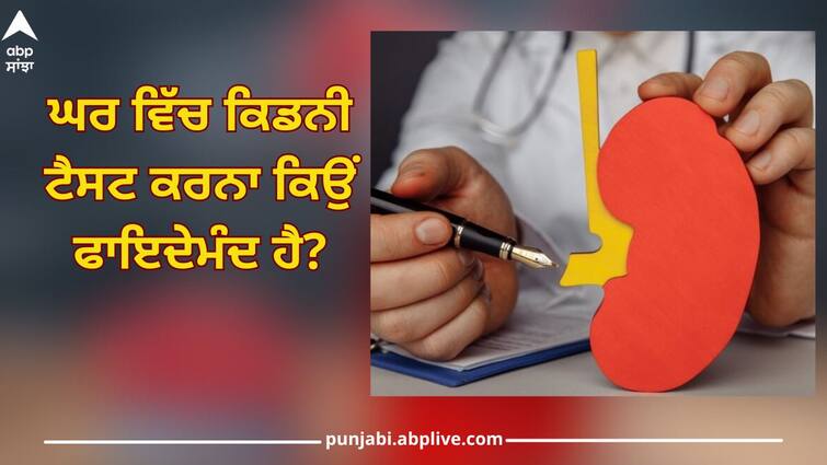 kidney function test at home to know creatinine level health news Kidney Function Test: ਇੰਝ ਘਰ 'ਚ ਹੀ ਚੈੱਕ ਕਰੋ ਕਿਡਨੀ ਦੀ ਸਿਹਤ ਸਹੀ ਹੈ ਜਾਂ ਨਹੀਂ! ਮਾਹਿਰਾਂ ਤੋਂ ਜਾਣੋ ਇਹ ਟਿਪਸ