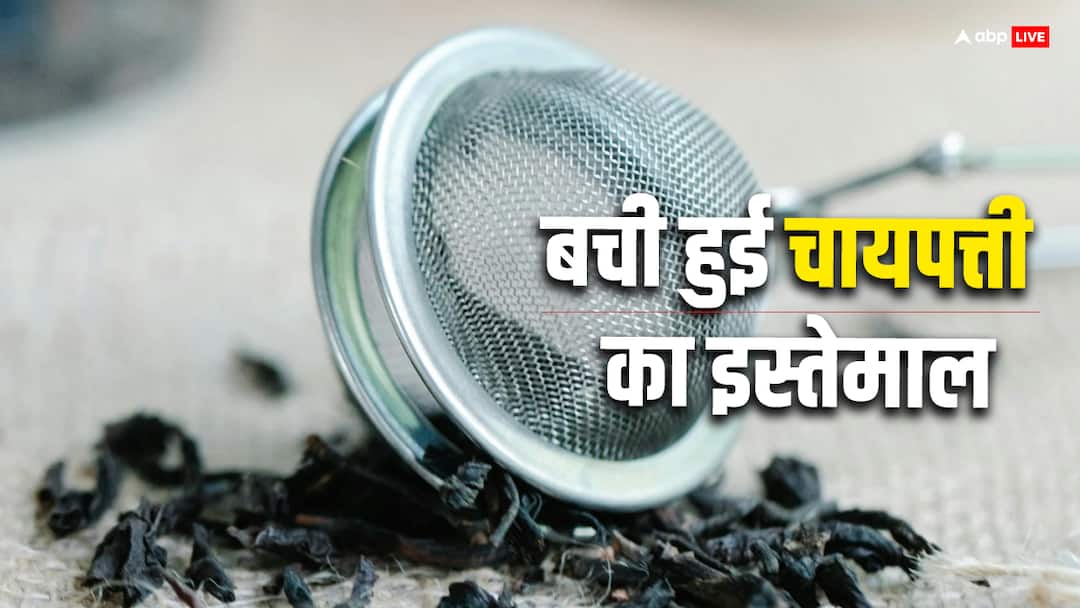 बची हुई चाय की पत्ती भी आ सकती है बड़े काम, जानें इसे कैसे करें इस्तेमाल Use of leftover tea leaves बची हुई चाय की पत्ती भी आ सकती है बड़े काम, जानें इसे कैसे करें इस्तेमाल