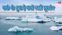 समुद्र में विशाल बर्फ के टुकड़े क्यों नहीं डूबते, जानें क्या है इसके पीछे की वजह