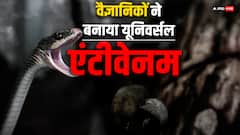 किसी भी सांप के काटने पर ये दवा करेगी असर, बन गया यूनिवर्सल एंटीवेनम