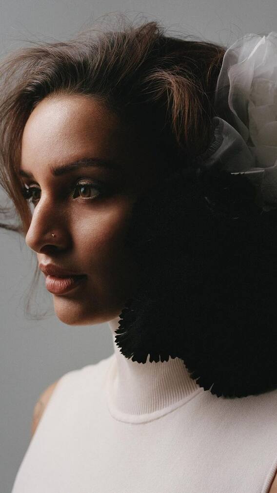 एनिमल की सफलता के बाद भाभी 2 का बढ़ा भाव, कर दिया ये काम