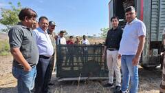 इंदौर के आरआर कैट में घूमते दिखे दो तेंदुए, वन विभाग ने एक को किया पिंजरे में कैद