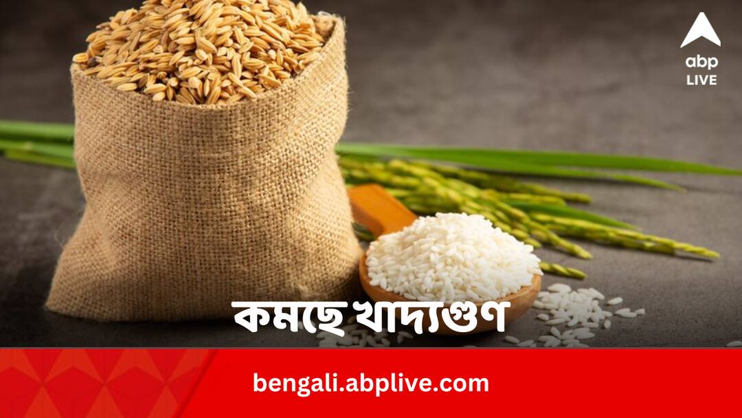 Food value of Rice and wheat becomes half over 50 years Health News: ভাত, রুটি থেকে মিলছে না আগের মতো পুষ্টি! দায়ী নাকি শস্যই
