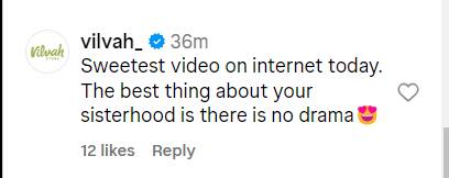 Video: पहले नहीं देखा होगा Alia Bhatt का ये रूप, बहन शाहीन भट्ट ने बर्थडे पर दिखाई झलक