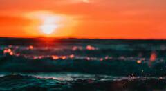 ਧਰਤੀ ‘ਤੇ ਵਹਿ ਰਹੇ ਸਮੁੰਦਰਾਂ ਦਾ ਮੰਗਲ ਗ੍ਰਹਿ ਨਾਲ ਕੀ ਹੈ ਸਬੰਧ ?