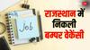 लॉ में डिग्री रखते हैं तो फटाफट करें इस भर्ती अभियान के लिए अप्लाई, पढ़ लें डिटेल्स