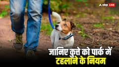 कुत्तों को पार्क में टहलाने का भी है नियम, नहीं पता तो फंस सकते हैं आप
