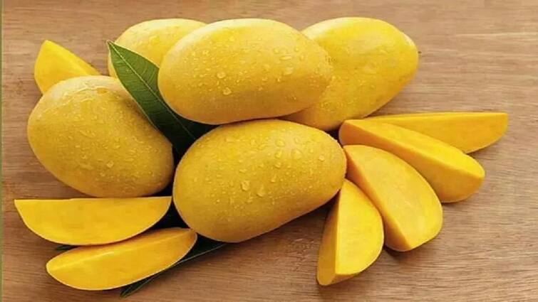 Information about 5 states leading in mango production in India Uttar Pradesh maharashtra agriculture farmers marathi news आंबा उत्पादनात अग्रेसर असणारी 5 राज्य कोणती? महाराष्ट्र कितव्या स्थानी?