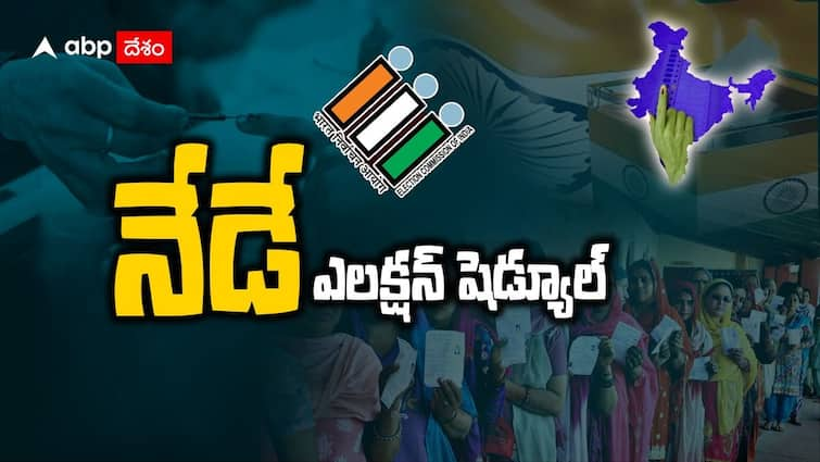 Lok Sabha Elections 2024 schedule to be released today know full details here Lok Sabha Election Schedule: ఇవాళే లోక్‌సభ ఎన్నికల షెడ్యూల్, అధికారికంగా ప్రకటించనున్న ఈసీ