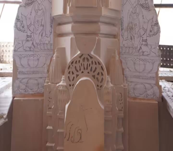 મંદિરમાં રામ લલ્લાના  પ્રાણ પ્રતિષ્ઠા  બાદથી મોટી સંખ્યામાં ભક્તો અયોધ્યા પહોંચી રહ્યા છે. ટ્રસ્ટના જણાવ્યા અનુસાર રામ મંદિરમાં દરરોજ એક લાખથી વધુ ભક્તો દર્શન માટે આવી રહ્યા છે.