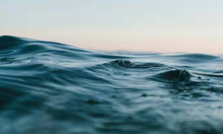 ਇਹ ਆਪਣੀ ਕਿਸਮ ਦੀ ਪਹਿਲੀ ਖੋਜ ਹੈ, ਜਿਸ ਵਿਚ ਮੰਗਲ ਅਤੇ ਧਰਤੀ ਦੇ ਸਮੁੰਦਰਾਂ ਵਿਚਕਾਰ ਸਬੰਧ ਦਾ ਜ਼ਿਕਰ ਹੈ।