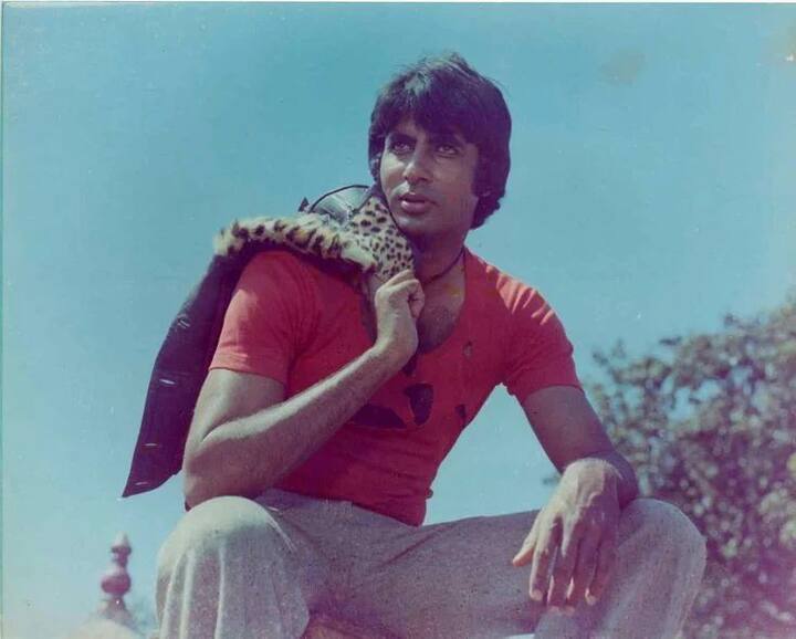 अमिताभ की इसी मेहनत और परफेक्शन के लिए लगन को देखकर एक बार दिलीप कुमार ने भी कहा था कि ये लड़का बहुत काम करके आया है. ये अपने हर शॉट को परफेक्ट बनाने के लिए मेहनत करता है. दरअसल फिल्म शक्ति में अमिताभ और दिलीप कुमार ने साथ काम किया था.