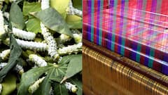Did You Know About The 'Non-Violent' Variety Of Silk? Know Origin, Cultural And Religious Significance