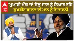 Sukhbir Singh Badal ਨੇ ਮਾਨ ਨੂੰ ਕਿਹਾ ਕਿ 'ਮੁਆਫੀ ਮੰਗ ਜਾਂ ਜੇਲ੍ਹ ਜਾਣ ਨੂੰ ਤਿਆਰ ਰਹਿ'