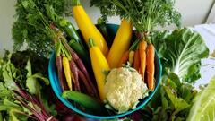 Healthy Foods: প্রতিদিন নিয়ম করে যোগাসন করছেন? তারপর ঠিক কী কী খাবার খাওয়া উচিত?