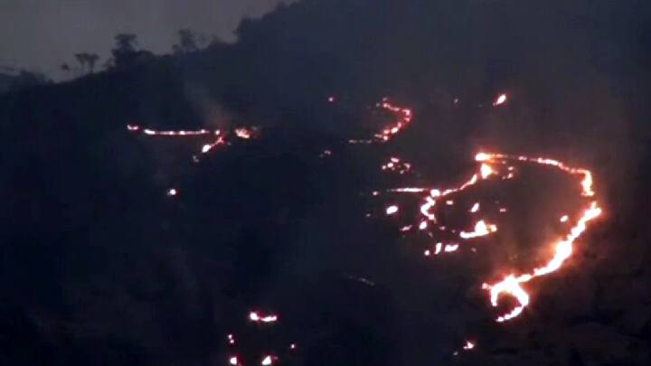 மேற்கு தொடர்ச்சி மலையில் காட்டுத் தீ -  சின்னூறு மலை கிராமத்தைச் சேர்ந்த இருவர் கைது