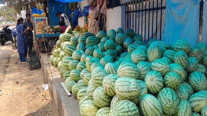 The sun is burning... its getting hot Watermelon Sales: Traders are happy கொளுத்துது வெயிலு... சூடு பிடிக்குது தர்பூசணி விற்பனை: மகிழ்ச்சியில் வியாபாரிகள்