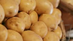 Potato for Beauty : उन्हाळ्यात बटाटा असे खुलवेल तुमचे सौंदर्य !