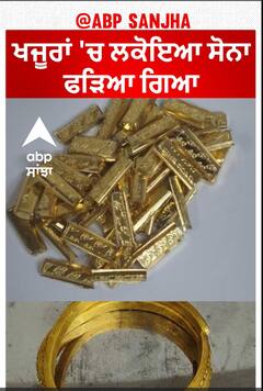 Gold was found concealed in dates |ਖਜੂਰਾਂ 'ਚ ਲਕੋਇਆ ਸੋਨਾ ਫੜਿਆ ਗਿਆ