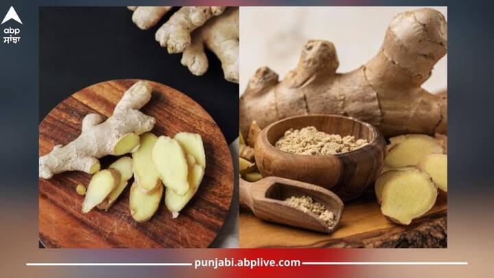 Ginger Side Effects: ਅਦਰਕ ਵਿੱਚ ਐਂਟੀਆਕਸੀਡੈਂਟ ਅਤੇ ਐਂਟੀ-ਇੰਫਲੇਮੇਟਰੀ ਗੁਣ ਹੁੰਦੇ ਹਨ ਜੋ ਕਈ ਬਿਮਾਰੀਆਂ ਨਾਲ ਲੜਨ ਵਿੱਚ ਮਦਦ ਕਰ ਸਕਦੇ ਹਨ। ਪਰ ਕੁੱਝ ਲੋਕਾਂ ਨੂੰ ਭੁੱਲ ਕੇ ਵੀ ਅਦਰਕ ਦਾ ਸੇਵਨ ਨਹੀਂ ਕਰਨਾ ਚਾਹੀਦਾ ਹੈ। ਆਓ ਜਾਣਦੇ ਹਾਂ