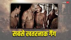 मारा सलवाट्रूचा और 18 स्ट्रीट... ये हैं दुनिया के सबसे खतरनाक गैंग