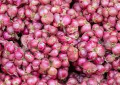 Onion Storage Tips: ਪਿਆਜ਼ ਲੰਮੇਂ ਸਮੇਂ ਤੱਕ ਰਹੇਗਾ ਫਰੈੱਸ਼... ਨਹੀਂ ਹੋਵੇਗਾ ਖ਼ਰਾਬ, ਇਦਾਂ ਕਰੋ ਸਟੋਰ