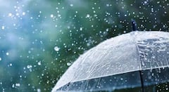 शेतकऱ्यांसाठी दिलासादायक बातमी! एल निनोचा प्रभाव कमी होणार; यंदा देशात सरासरी 94 टक्के पावसाची शक्यता