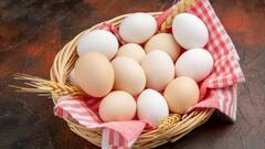 सावधान!अंडे खाने के तुरंत यह फूड आइटम खाने से शरीर को हो सकता है नुकसान