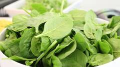 Seasonal Vegetables : हिरव्या पालेभाज्या खाण्याचे हे आहेत फायदे !