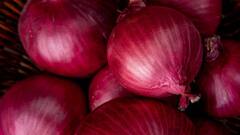 Onion Storage Tips: प्याज रहेगा लंबे समय तक फ्रेश... न सड़ेगा और न गलेगा, ऐसे करें स्टोर