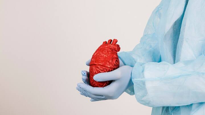 फेफड़े (Lungs): फेफड़ों को 4-6 घंटे के भीतर ट्रांसप्लांट करने की जरूरत होती है, जिससे उनका सही कामकाज सुनिश्चित हो सके.