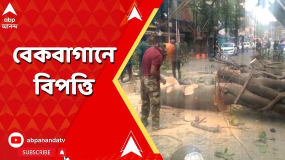 Kolkata News: বেকবাগানে রাস্তার ওপর উপড়ে গাছ, সৈয়দ আমির আলি অ্যাভিনিউয়ের একাংশে যান চলাচল বন্ধ