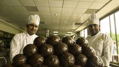 अनंत अंबानी के वनतारा में शानदार जीवन जी रहे हाथी, 130 किलो भोजन और जकूजी बाथ का लेते हैं आनंद