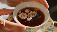 Bedtime Drinks: রাতে ঘুমের সমস্যা? ঘুমোতে যাওয়ার আগে খেতে পারেন এই পানীয়গুলি