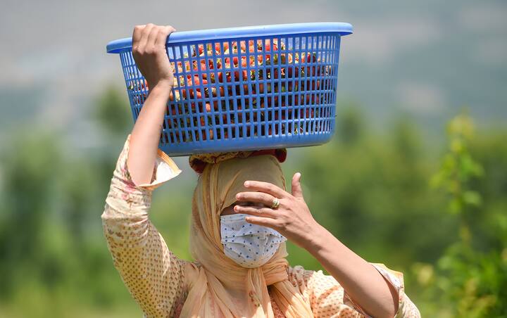 मौसम विभाग के मुताबिक, जम्मू-कश्मीर-लद्दाख-गिलगित-बाल्टिस्तान-मुजफ्फराबाद, हिमाचल प्रदेश, पंजाब और पूर्वोत्तर के कुछ हिस्सों को छोड़कर देश के कई हिस्सों में दिन का अधिकतम तापमान सामान्य से दो से तीन डिग्री सेल्सियस नीचे बना हुआ है. वहीं, दक्षिण प्रायद्वीपीय में यह सामान्य के करीब हैं, लेकिन अब धीरे-धीरे गर्म मौसम की ओर बदलाव होगा.