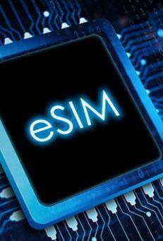 Financial Fraud: ਤਕਨਾਲੋਜੀ ਸਾਡੀ ਜ਼ਿੰਦਗੀ ਨੂੰ ਆਸਾਨ ਬਣਾ ਰਹੀ ਹੈ, ਪਰ ਹੈਕਰ ਲੋਕਾਂ ਨੂੰ ਫਸਾਉਣ ਲਈ ਇਸ ਦੀ ਵਰਤੋਂ ਕਰ ਰਹੇ ਹਨ। ਰੂਸੀ ਸਾਈਬਰ ਸੁਰੱਖਿਆ ਕੰਪਨੀ 'F.A.C.C.T' ਨੇ ਈ-ਸਿਮ ਦੀ ਵਰਤੋਂ ਕਰਨ ਵਾਲੇ ਲੋਕਾਂ ਨੂੰ ਸਾਵਧਾਨ ਰਹਿਣ ਦੀ ਅਪੀਲ ਕੀਤੀ ਹੈ। ਦਰਅਸਲ, ਈ-ਸਿਮ ਸਵੈਪਰਾਂ ਨੇ ਲੋਕਾਂ ਦੇ ਫ਼ੋਨ ਨੰਬਰ ਚੋਰੀ ਕਰਨ ਅਤੇ ਡਿਜੀਟਲ ਸੁਰੱਖਿਆ ਨੂੰ ਬਾਈਪਾਸ ਕਰਨ ਲਈ ਆਪਣੇ ਹਮਲਿਆਂ ਦਾ ਤਰੀਕਾ ਬਦਲ ਦਿੱਤਾ ਹੈ। ਕੰਪਨੀ ਨੇ ਪਾਇਆ ਕਿ ਪਿਛਲੇ ਸਾਲ ਸਿਰਫ ਇੱਕ ਮਾਮਲੇ ਵਿੱਚ, ਲੋਕਾਂ ਦੇ ਨਿੱਜੀ ਖਾਤਿਆਂ ਤੱਕ ਪਹੁੰਚ ਪ੍ਰਾਪਤ ਕਰਨ ਲਈ ਲਗਭਗ ਸੌ ਕੋਸ਼ਿਸ਼ਾਂ ਕੀਤੀਆਂ ਗਈਆਂ ਸਨ।