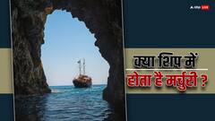 क्रूज शिप में किसी की मौत होने पर कहां रखते हैं शव, क्योंकि समुद्र में शिप महीनों तक करती है सफर