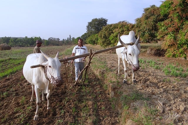 किसानों के इन्हीं सवालों का जवाब देने के लिए पीएम किसान एआई चैटबॉट लॉन्च किया गया है, जो हर भाषा में किसानों को जवाब देगा.