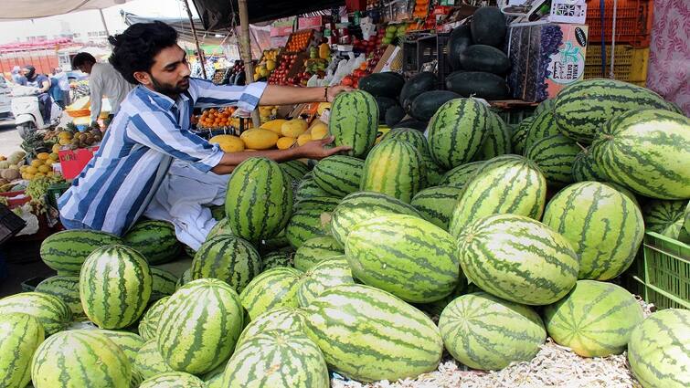 watermelon-trick-to-check-itis-sweet-and-red-or-not-from-inside Watermelon check: ਤਰਬੂਜ ਅੰਦਰੋਂ ਲਾਲ ਹੋਵੇਗਾ ਜਾਂ ਨਹੀਂ? ਅਪਣਾਓ ਆਹ ਤਰੀਕੇ, ਮਿੰਟਾਂ ਵਿੱਚ ਲੱਗ ਜਾਵੇਗਾ ਪਤਾ