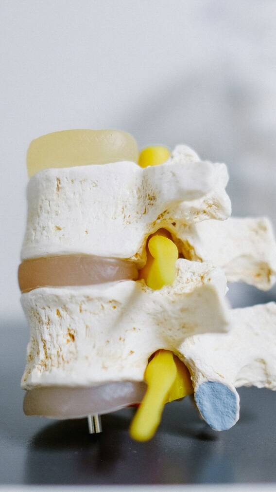 బోన్స్ హెల్త్ కోసం మహిళలు ఇవి కచ్చితంగా తీసుకోవాలట