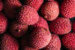 Lychee: ਘਰ 'ਚ ਸੌਖੇ ਤਰੀਕੇ ਨਾਲ ਲਾਓ ਲੀਚੀ, ਇੱਥੇ ਜਾਣੋ ਪੂਰਾ ਤਰੀਕਾ